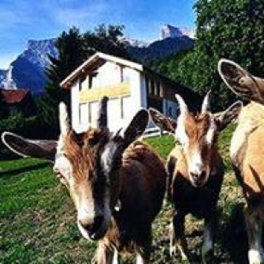 Hotel Restaurant Heidihof Maienfeld Eksteriør bilde